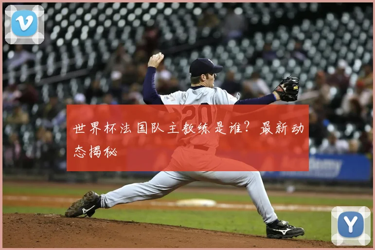 世界杯法国队主教练是谁？最新动态揭秘